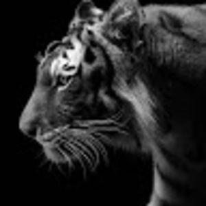 Meet your Posher, Rob